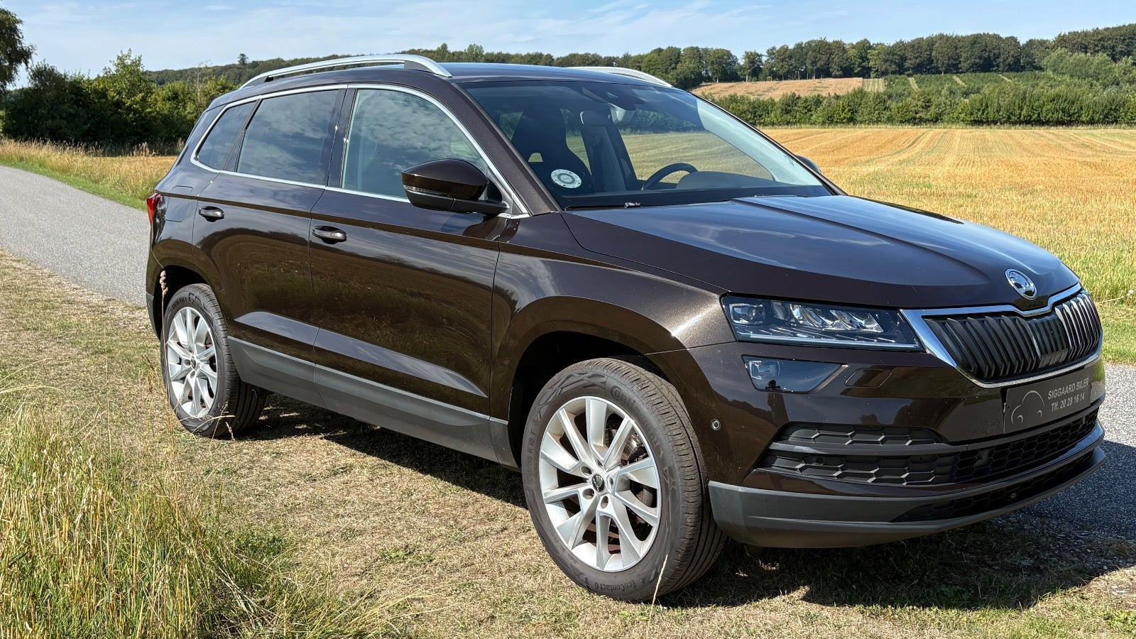 Brun Skoda Karoq fra 2019