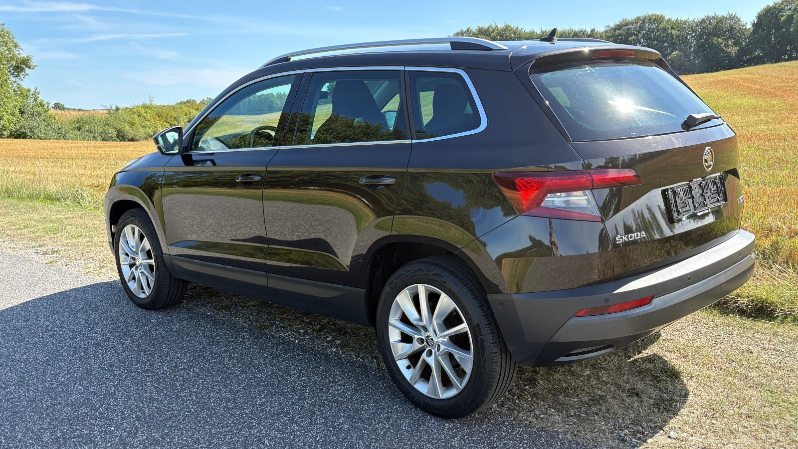 Brun Skoda Karoq fra 2019