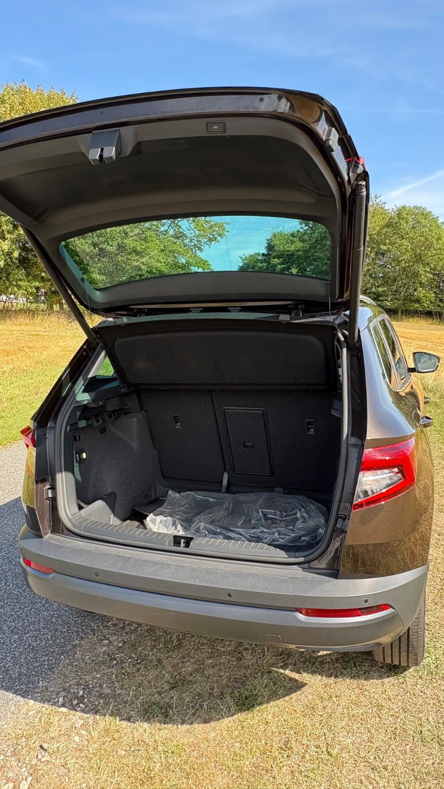 Brun Skoda Karoq fra 2019