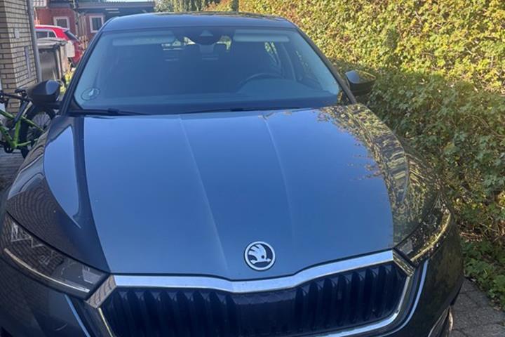 undefined Skoda Octavia fra 2021