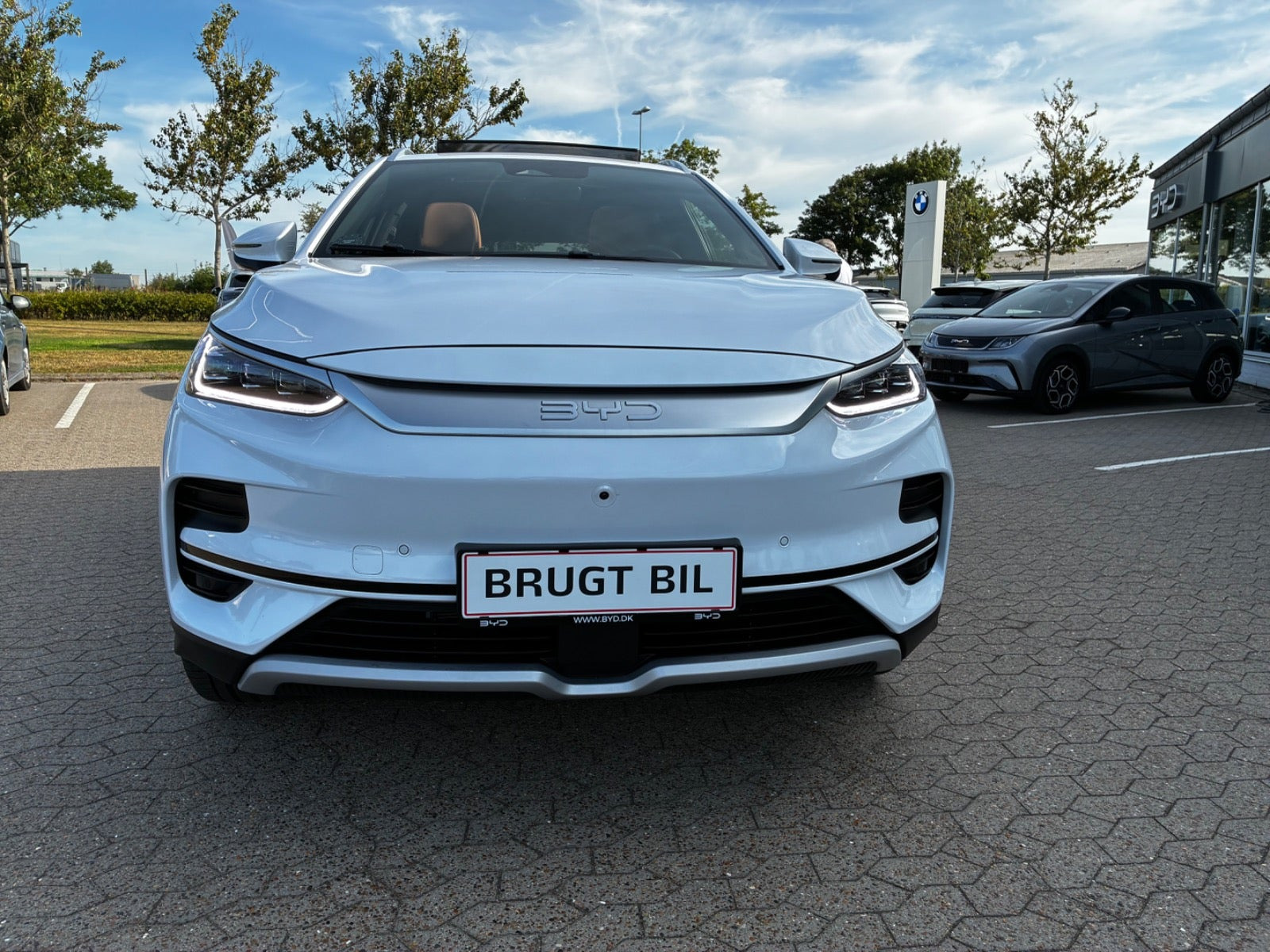 Hvid BYD Tang fra 2024