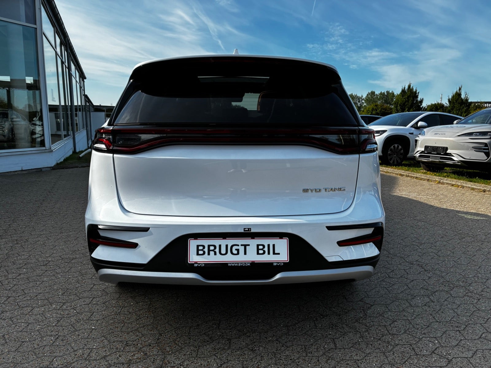 Hvid BYD Tang fra 2024