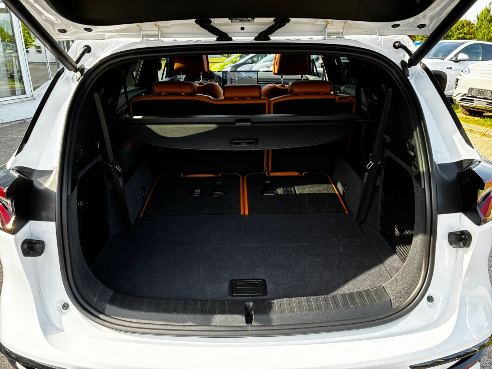 Hvid BYD Tang fra 2024