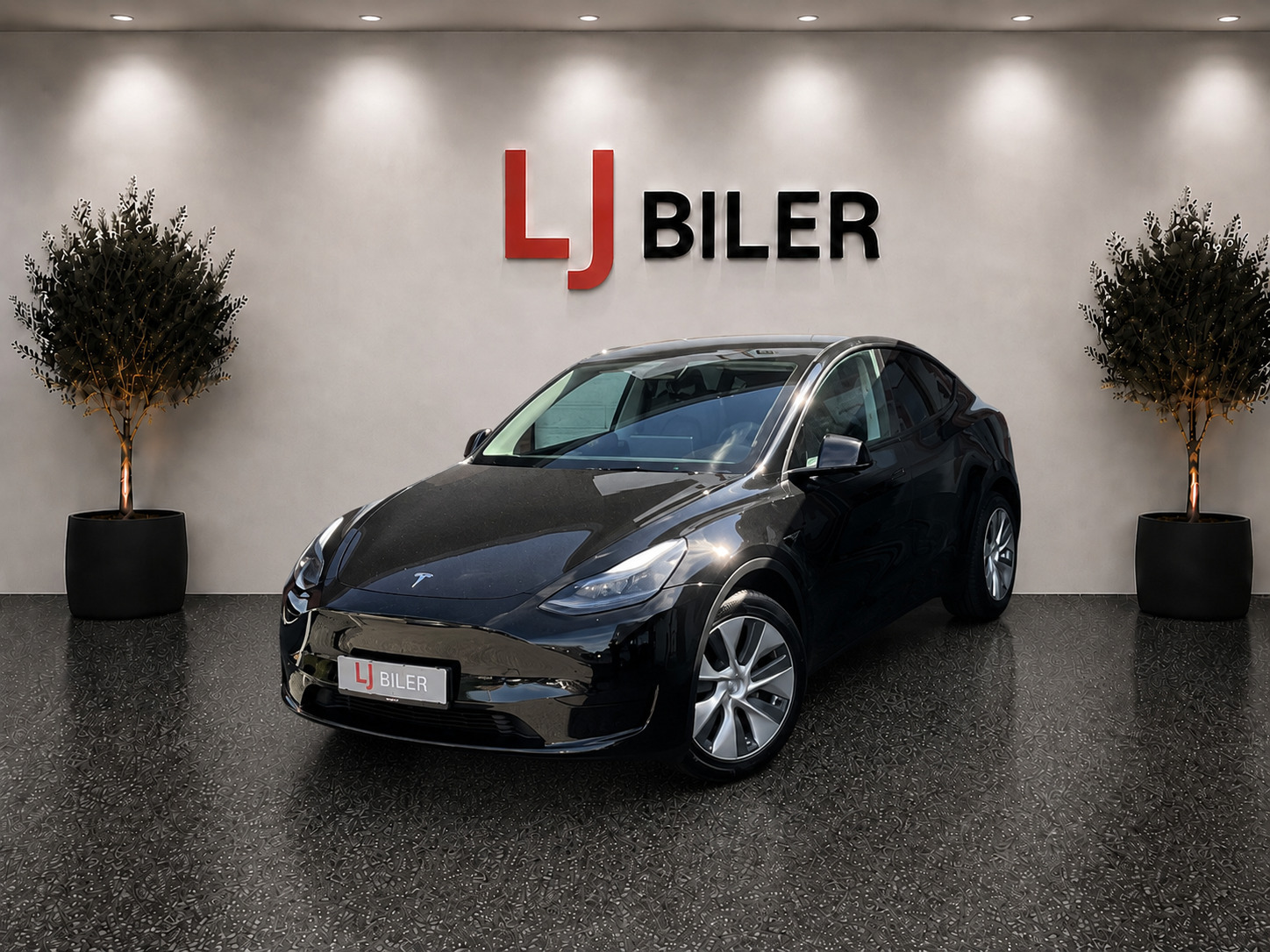 Tesla Model Y RWD