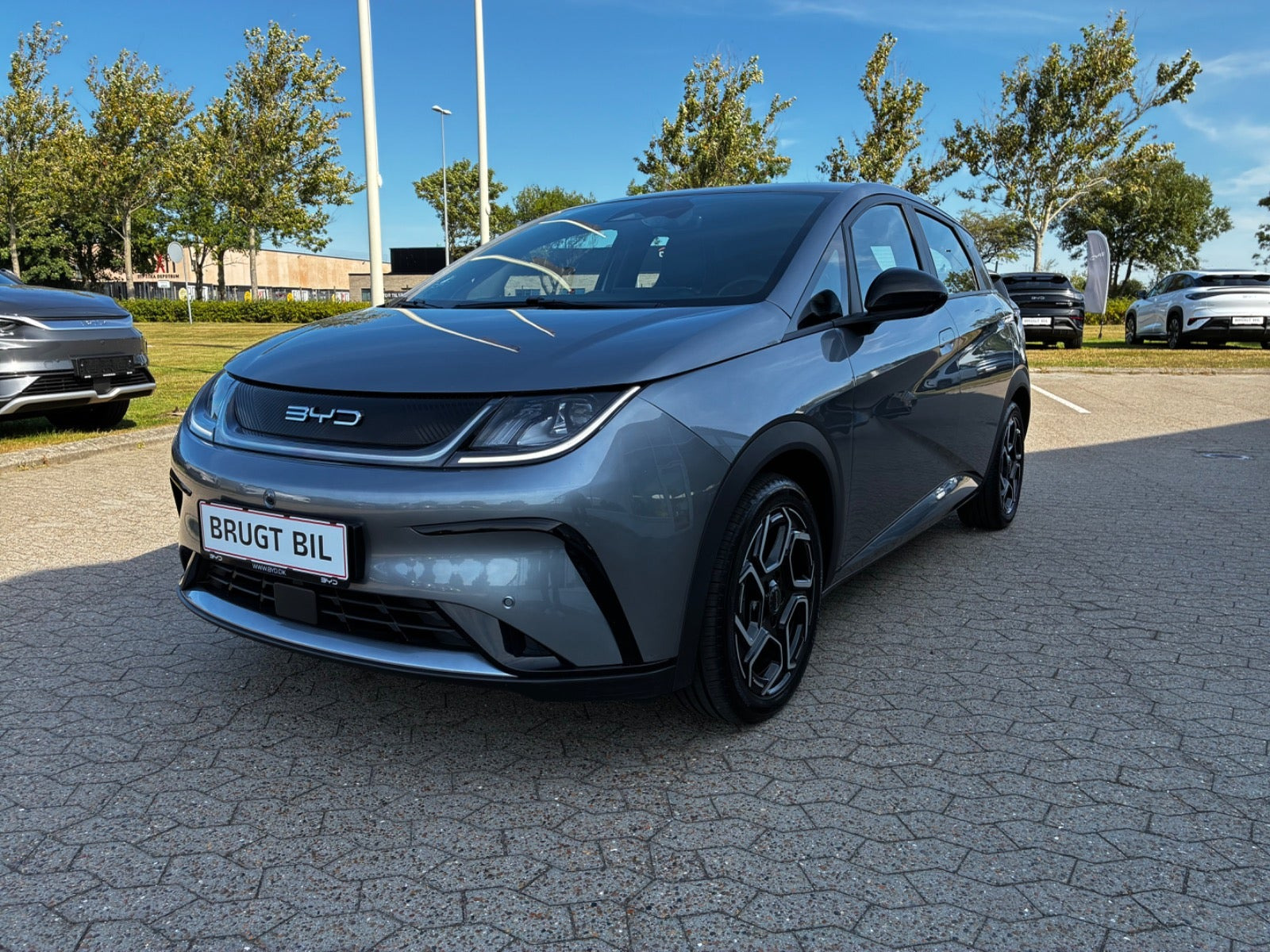 BYD Dolphin 60 Comfort