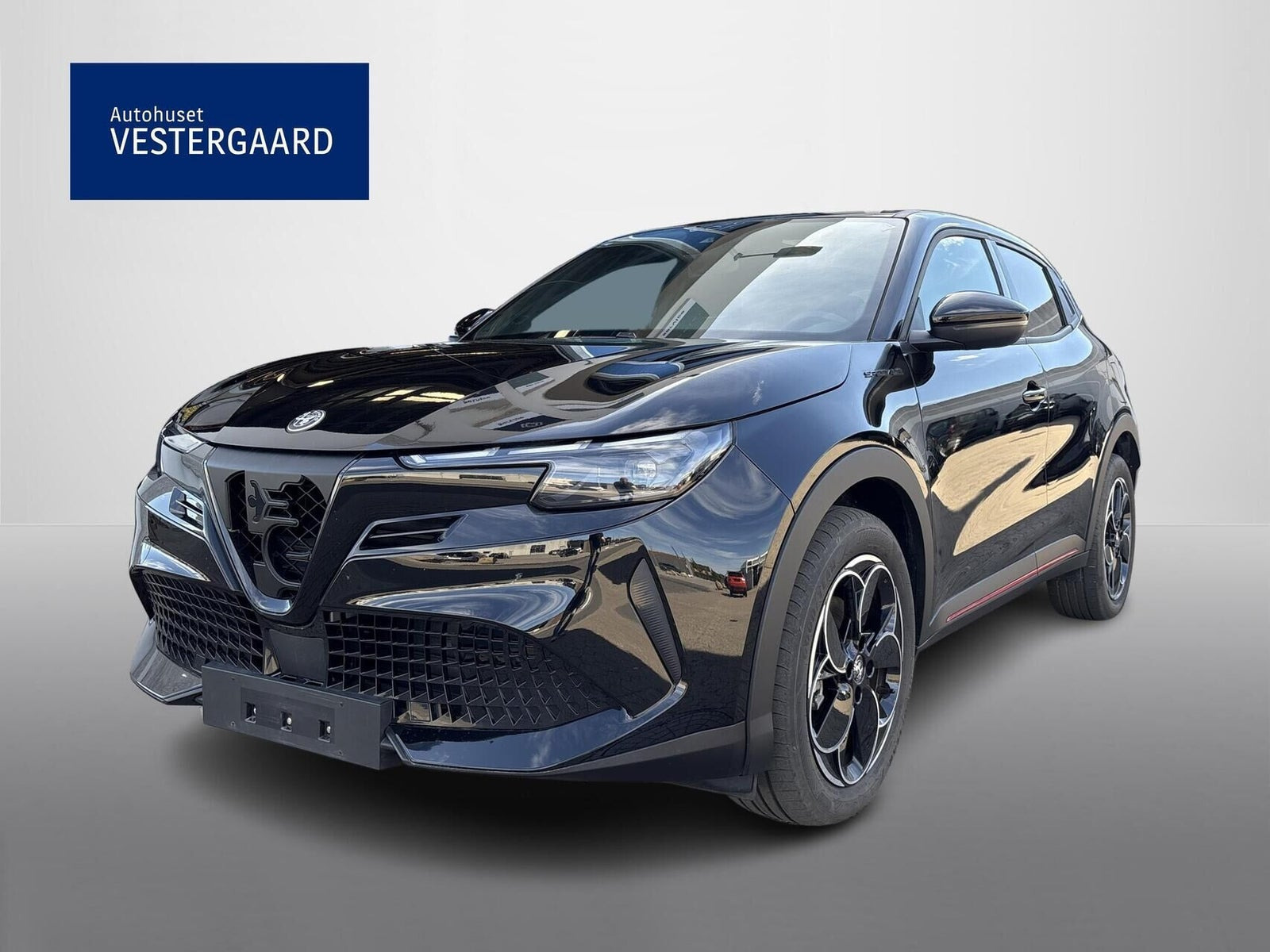 Alfa Romeo Junior Elettrica Speciale