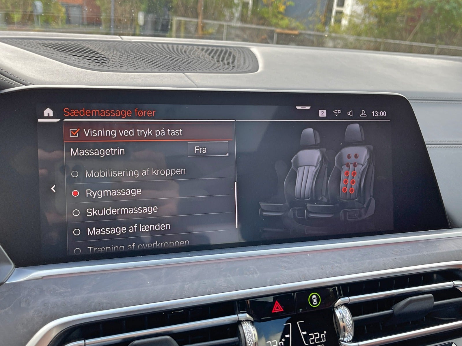 Grå BMW X5 fra 2019