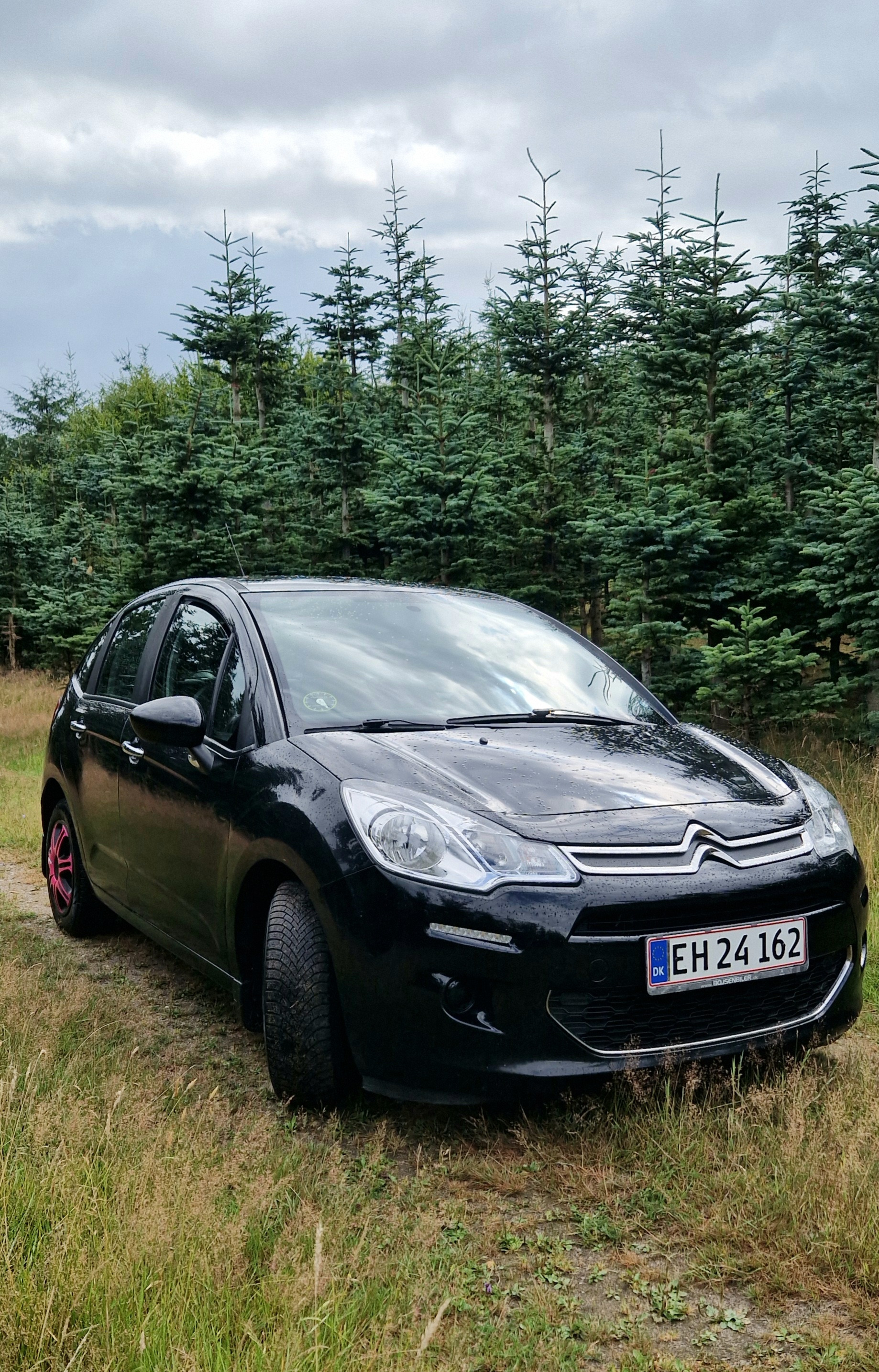 Sort Citroën C3 fra 2013