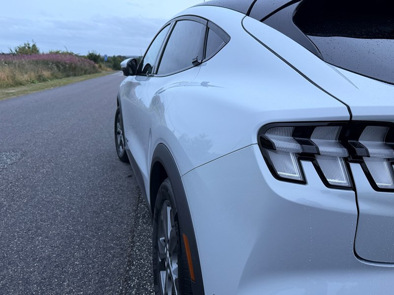undefined Ford Mustang fra 2021
