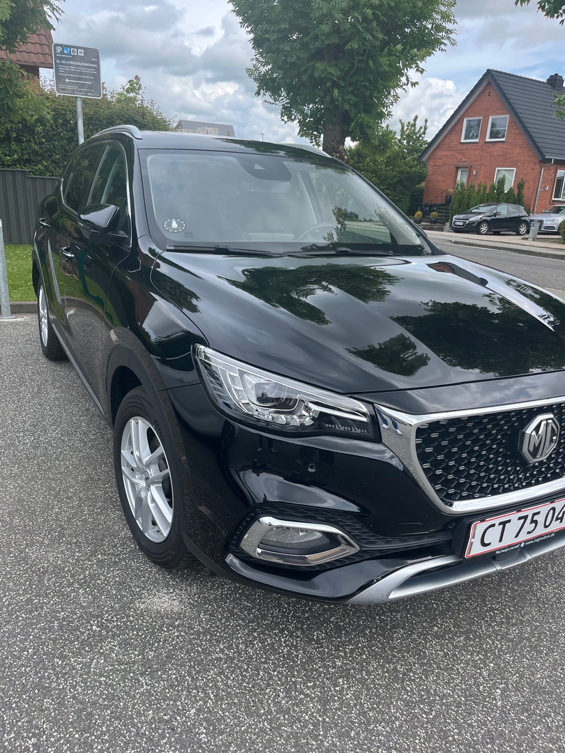 Sort MG EHS fra 2021