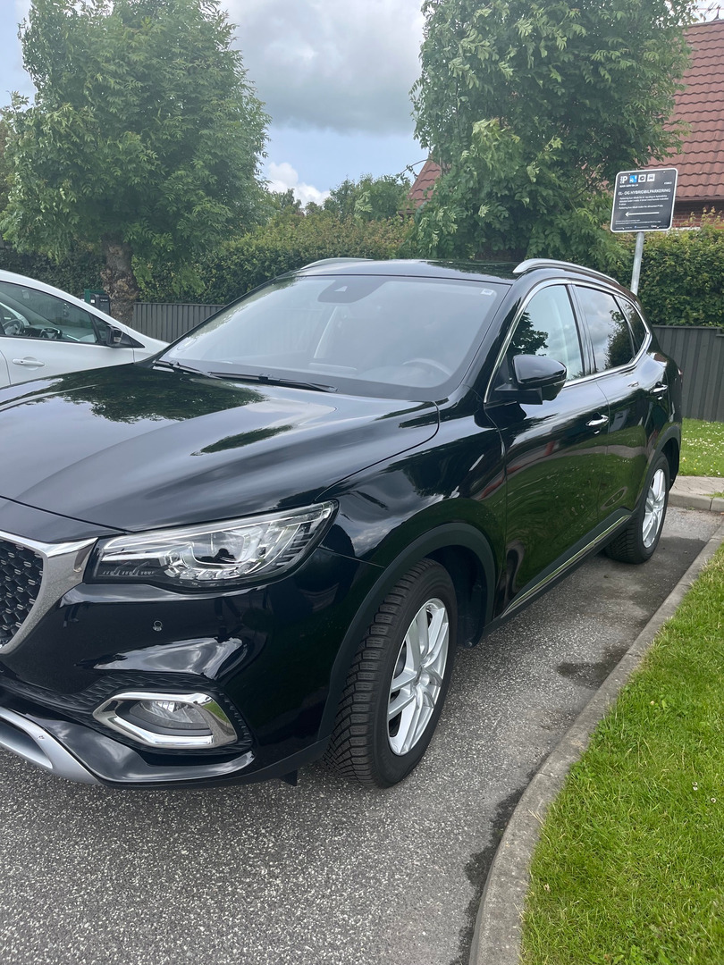 Sort MG EHS fra 2021