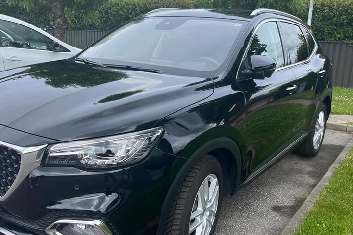 Sort MG EHS fra 2021