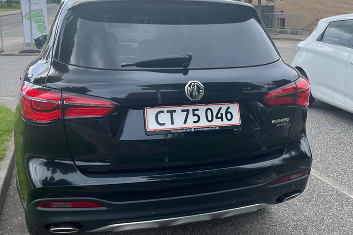 Sort MG EHS fra 2021