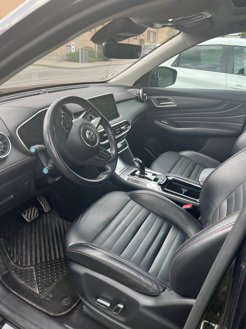Sort MG EHS fra 2021