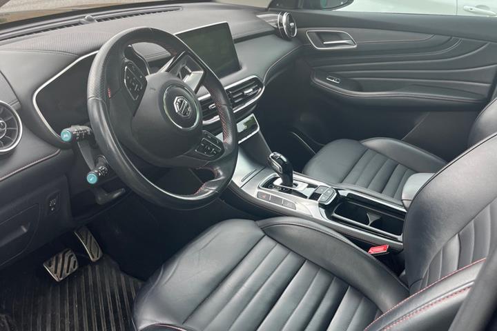 Sort MG EHS fra 2021