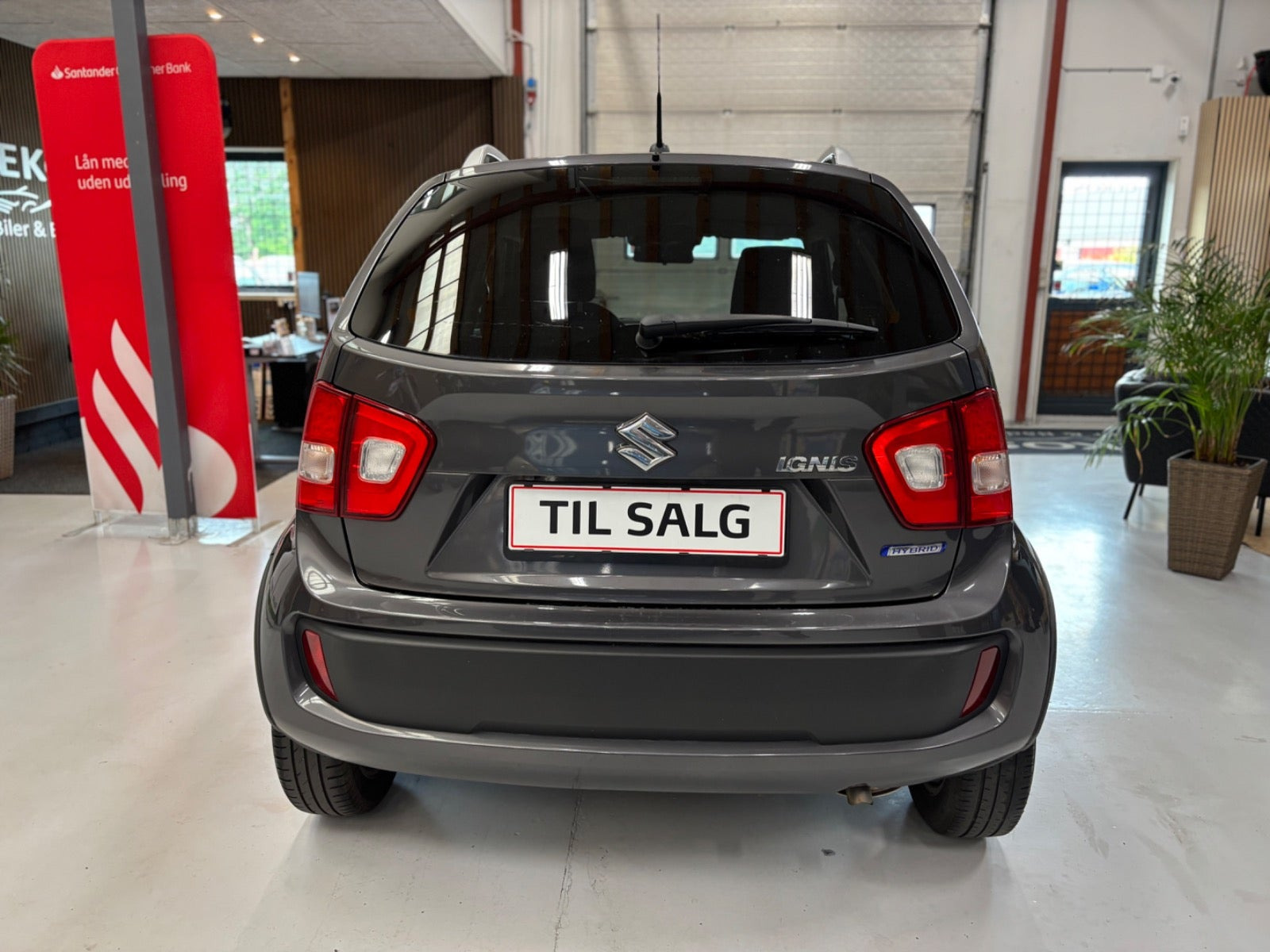Grå Suzuki Ignis fra 2019