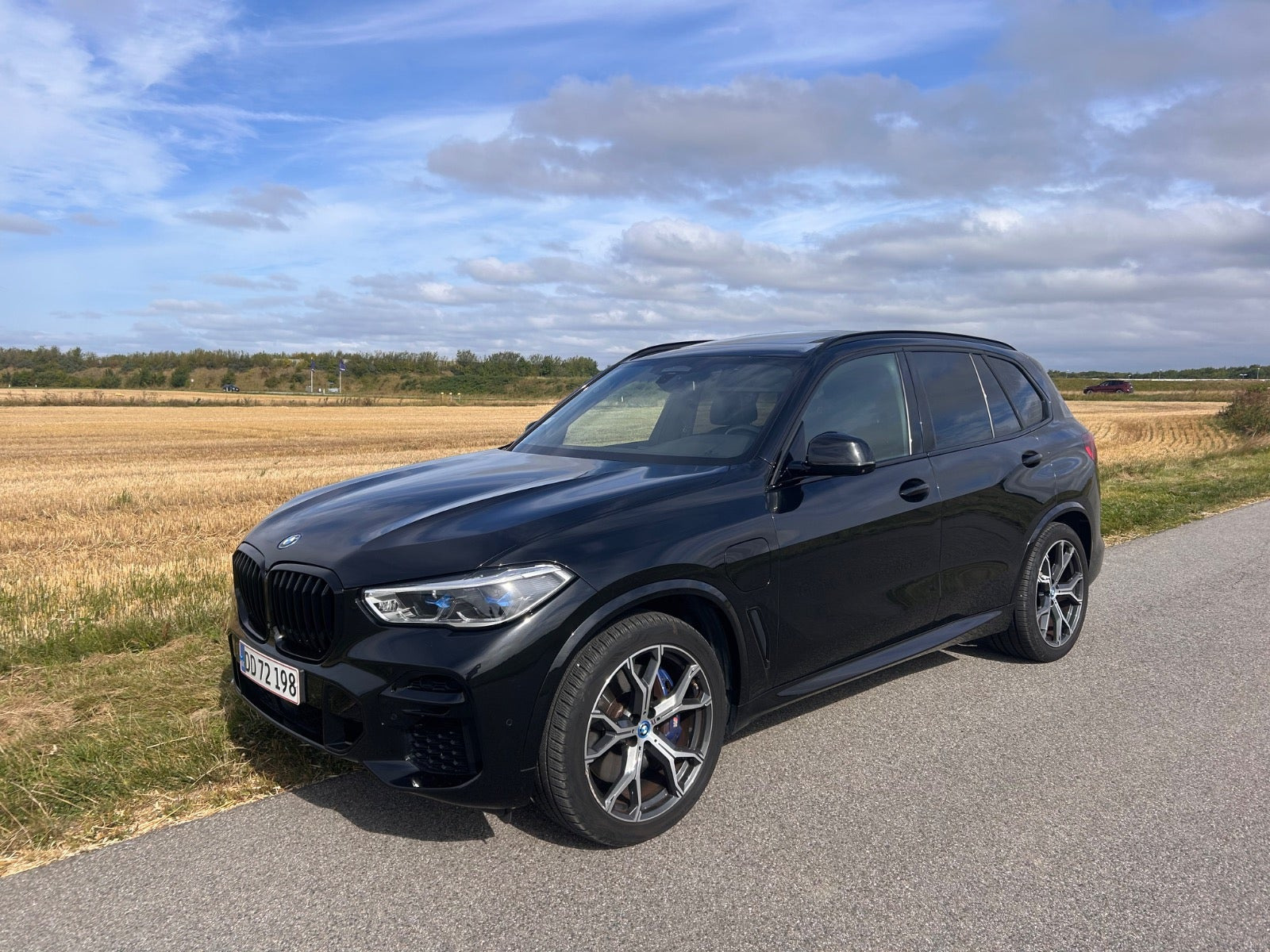 BMW X5 3,0 xDrive45e M-Sport+ aut.