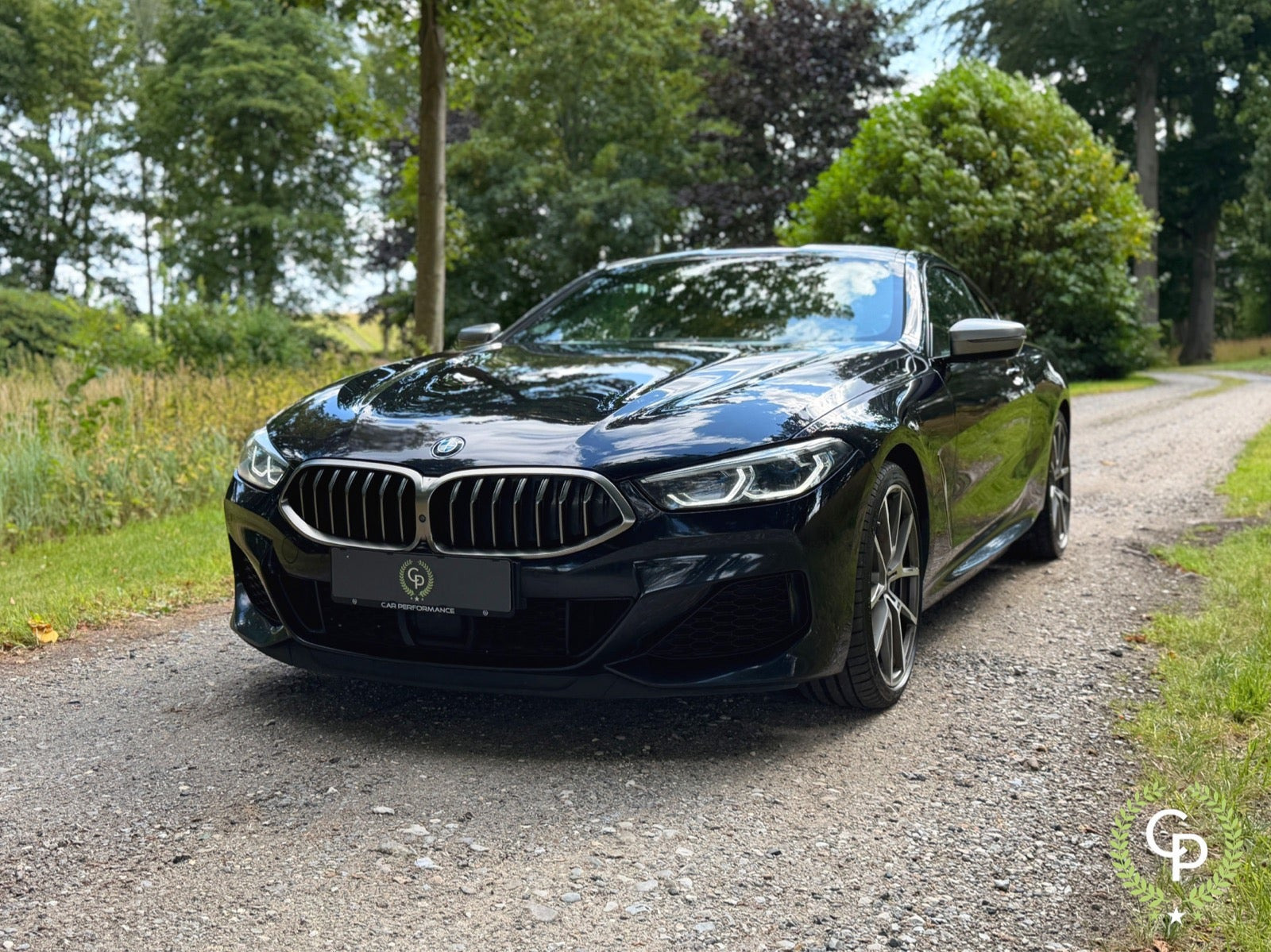 BMW M850i 4,4 Coupé xDrive aut.