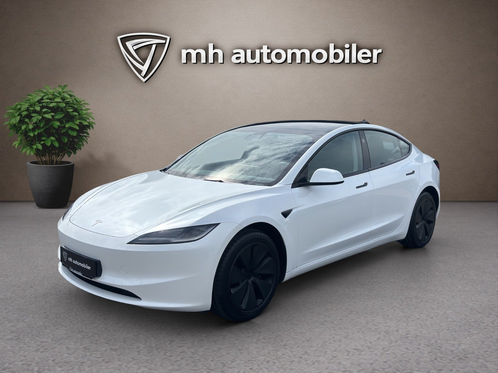 Tesla Model 3 RWD