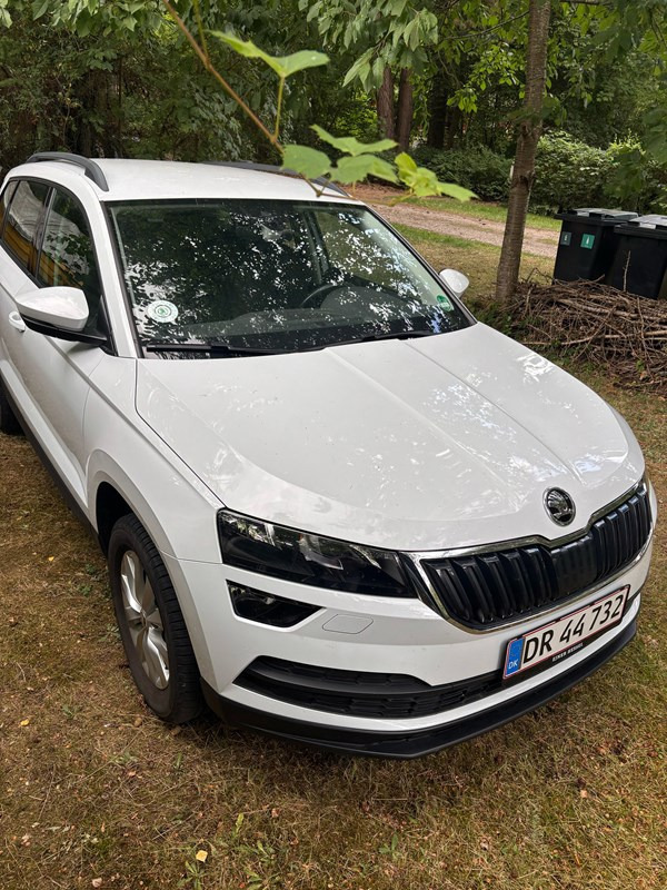 undefined Skoda Karoq fra 2019