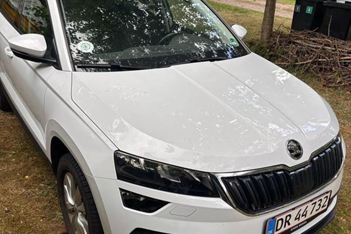 undefined Skoda Karoq fra 2019