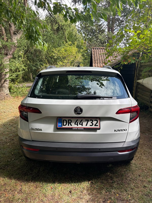 undefined Skoda Karoq fra 2019