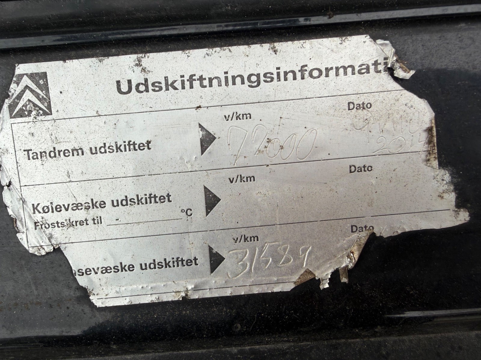 Grøn Citroën Berlingo fra 2006
