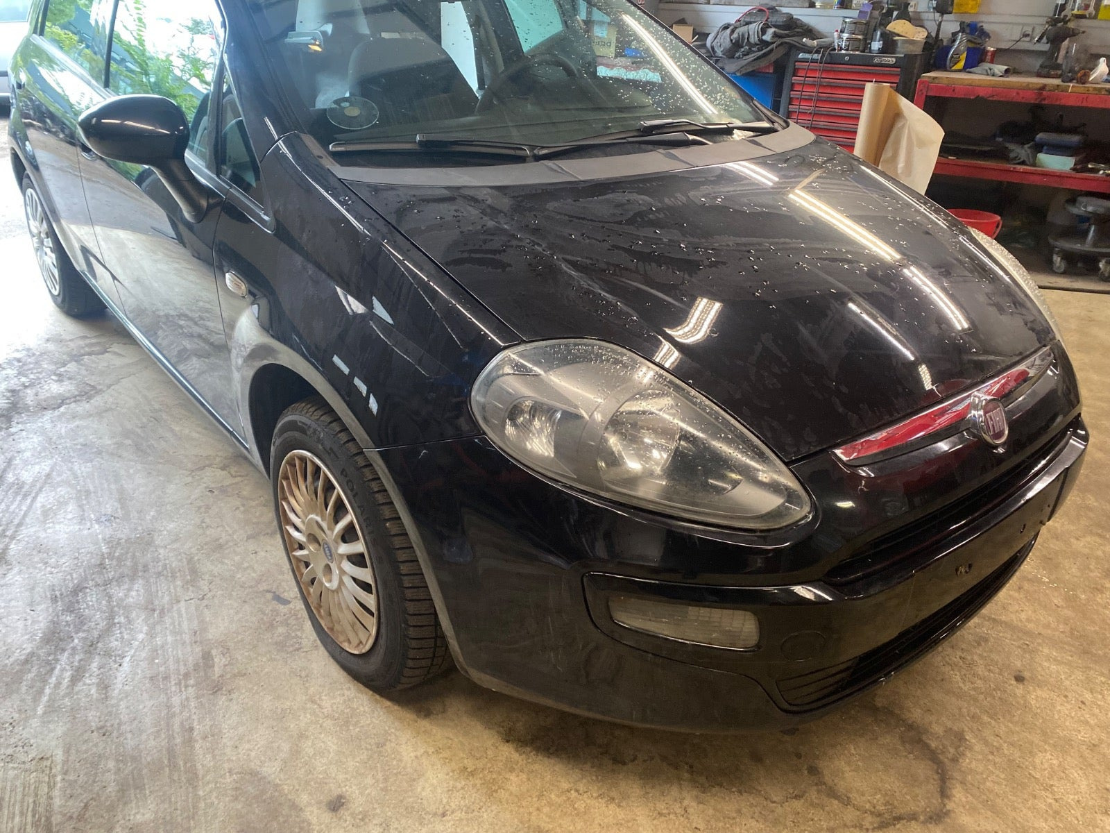 undefined Fiat Punto Evo fra 2012