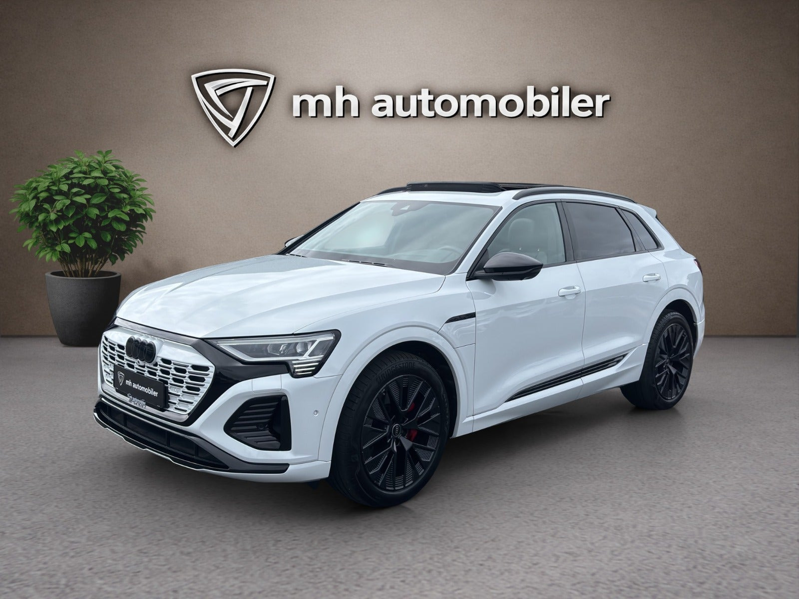 Audi Q8 e-tron 55 S-line Black Style quattro
