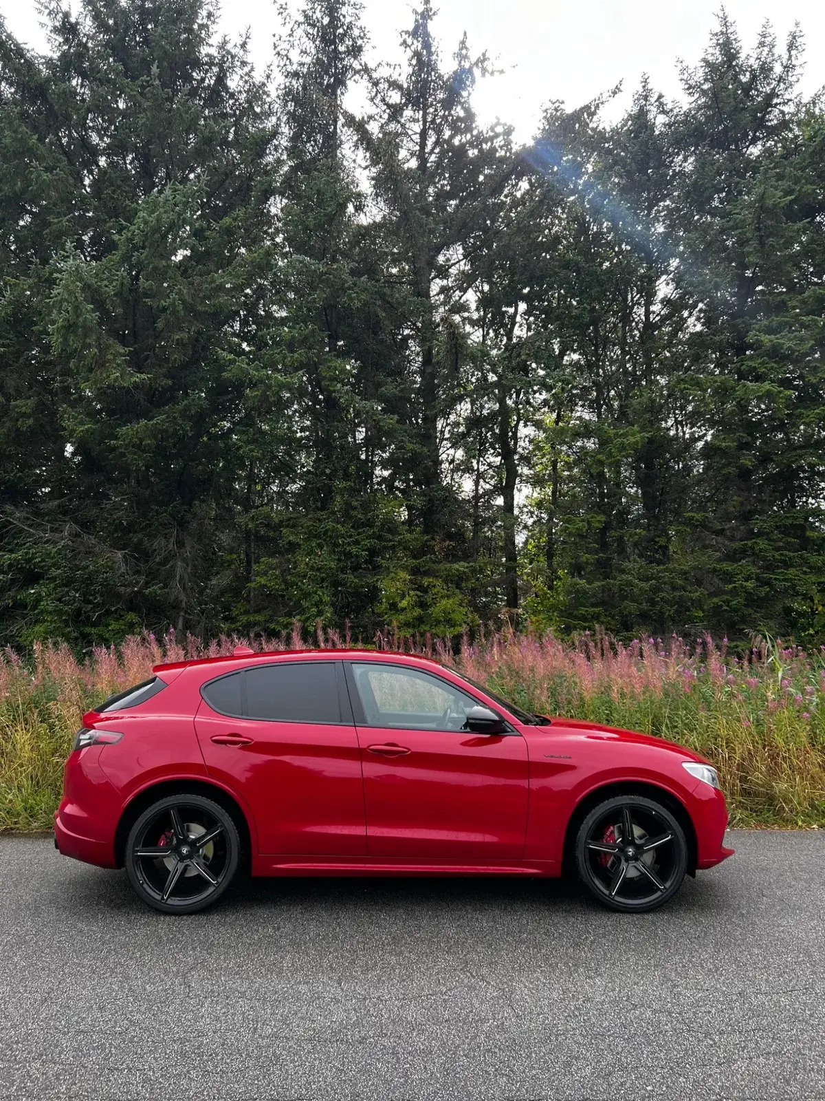 Alfa Romeo Stelvio 2,0 TB 280 Q4 Aut.