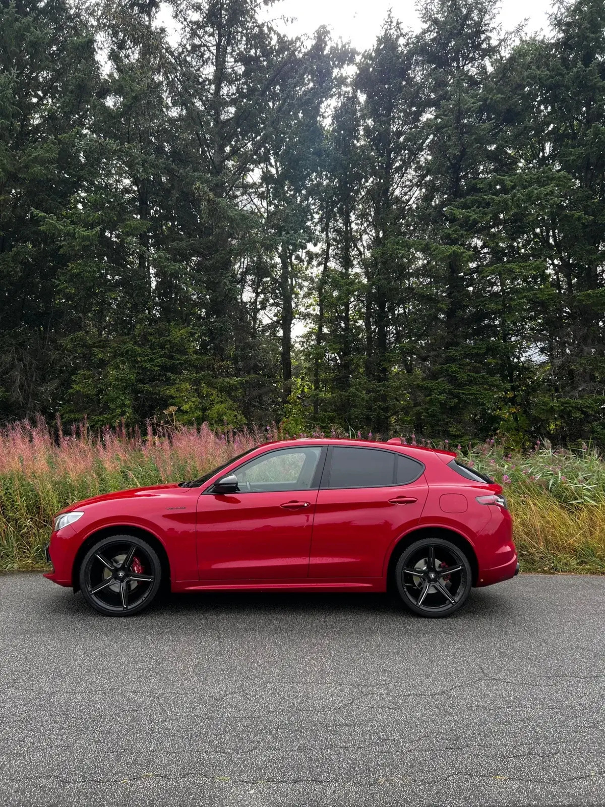 Rød Alfa Romeo Stelvio fra 2021
