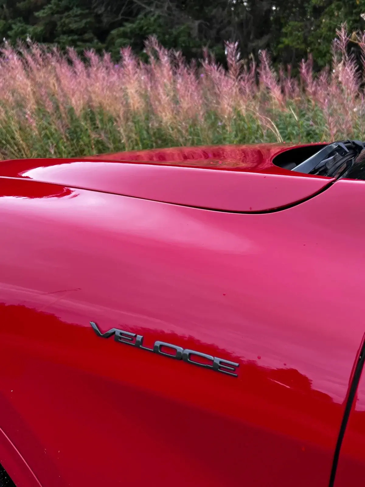 Rød Alfa Romeo Stelvio fra 2021