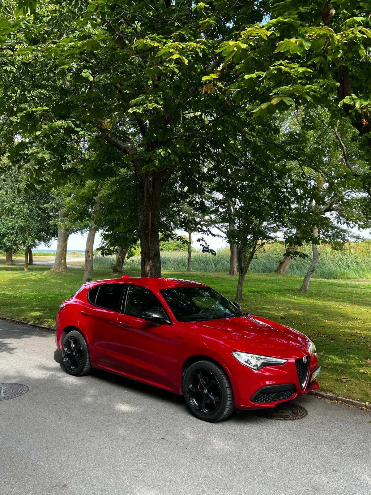 Rød Alfa Romeo Stelvio fra 2021