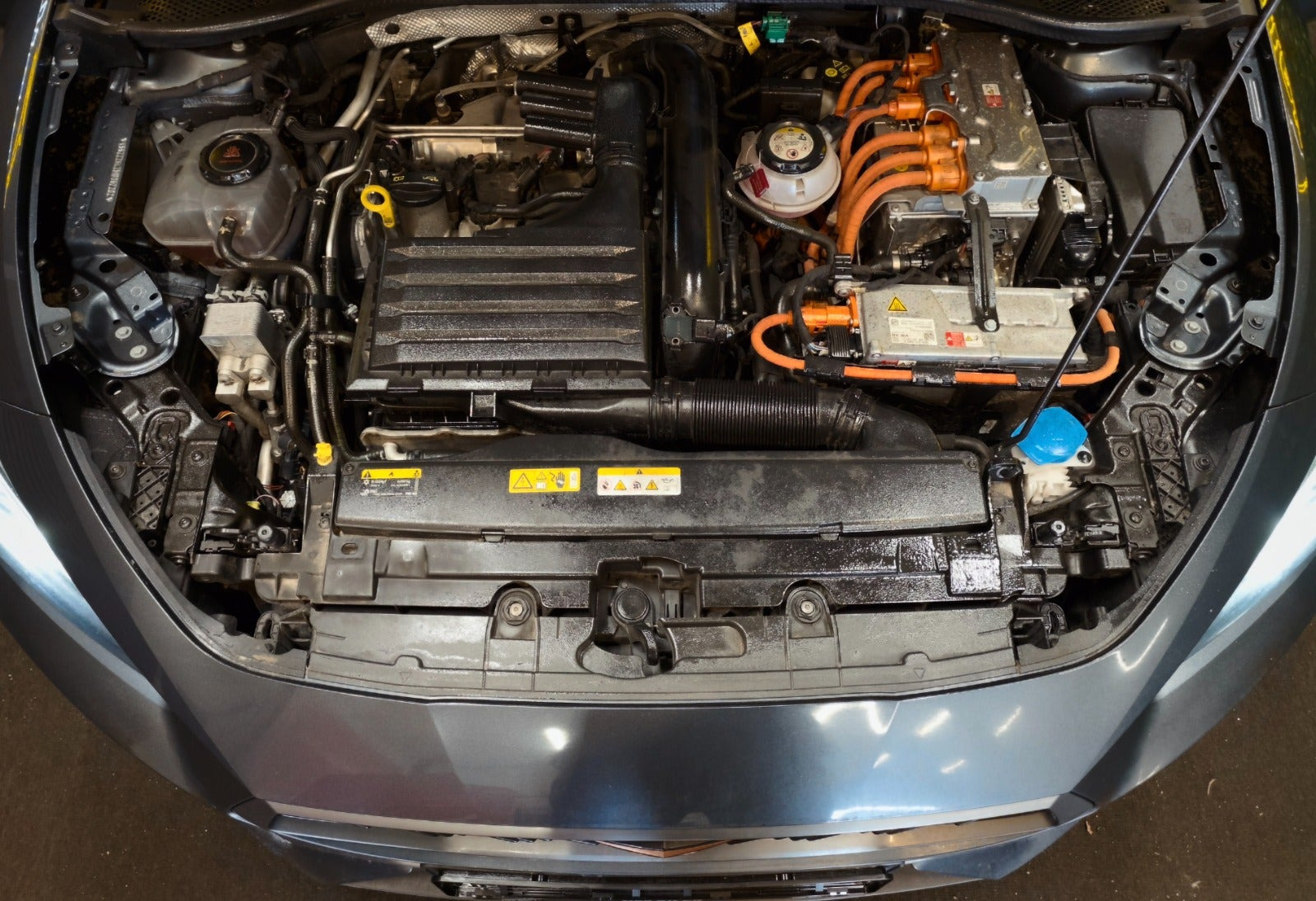 undefined Seat Leon fra 2021