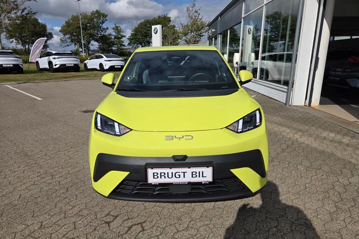Gul BYD Dolphin Surf fra 2025