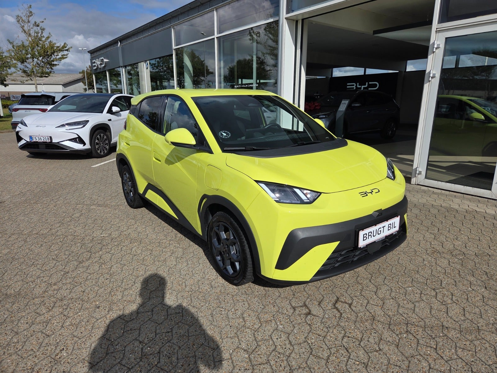 Gul BYD Dolphin Surf fra 2025