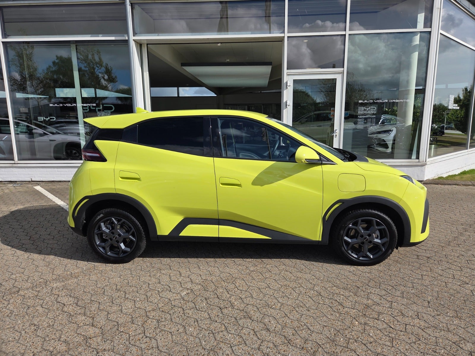 Gul BYD Dolphin Surf fra 2025