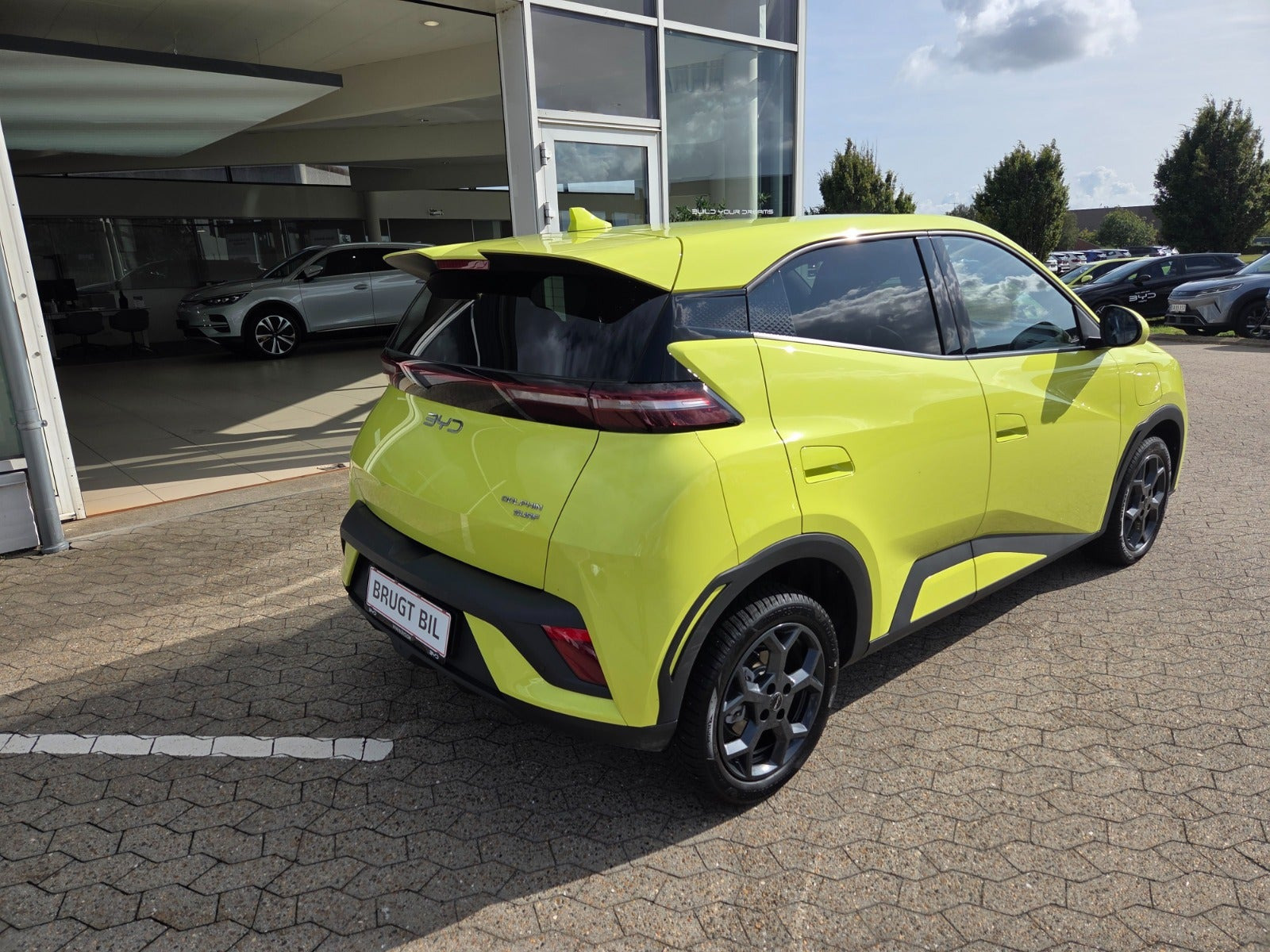 Gul BYD Dolphin Surf fra 2025