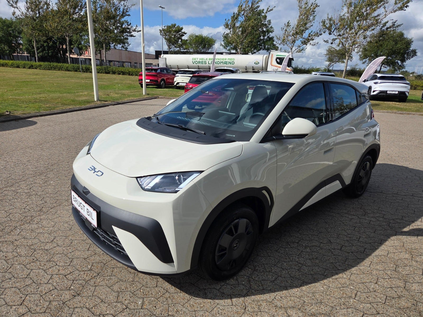 BYD Dolphin Surf 30 Active