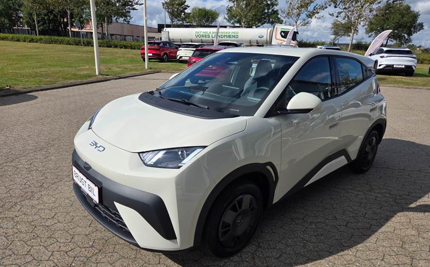BYD Dolphin Surf 30 Active