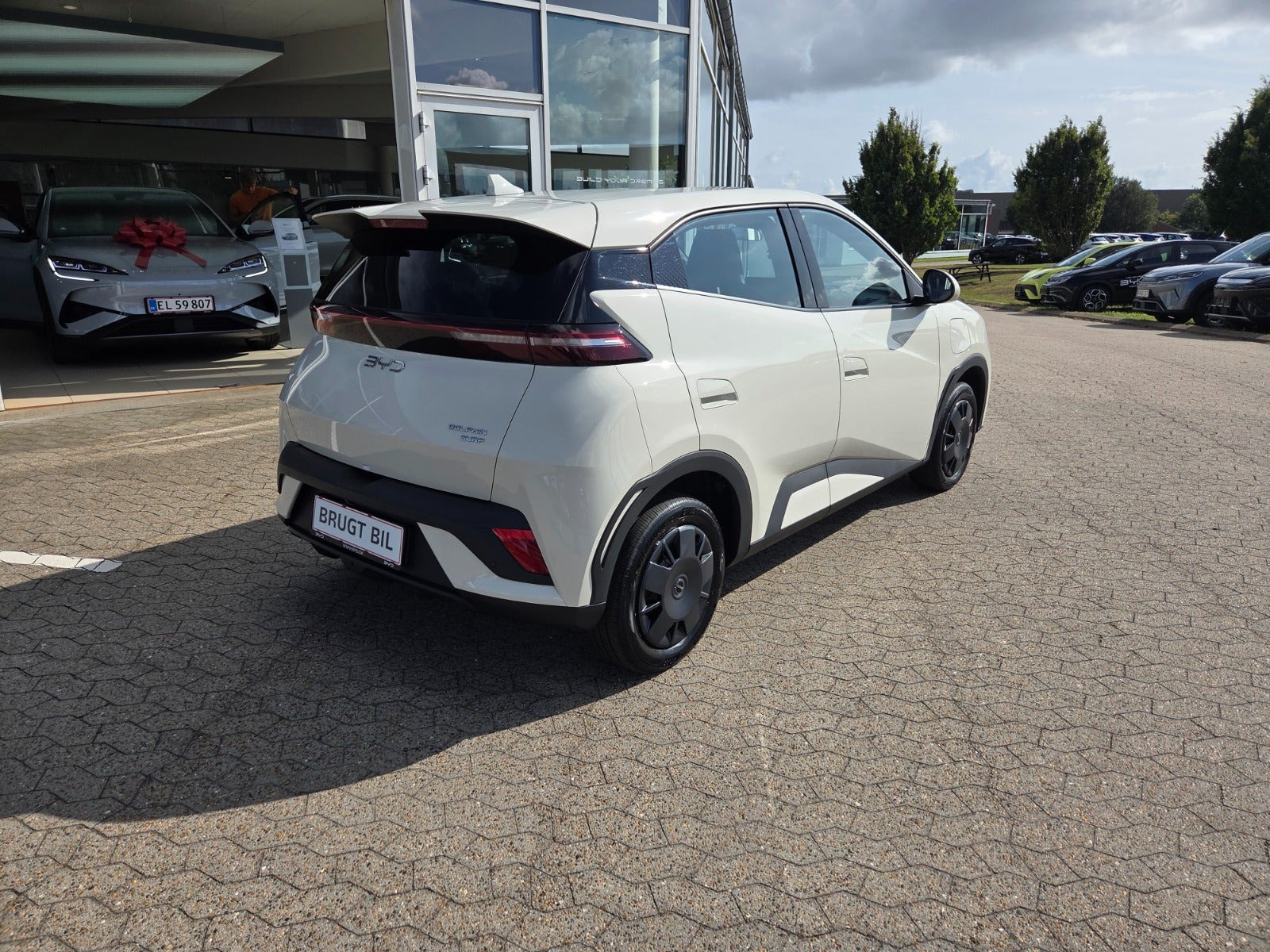 Beige BYD Dolphin Surf fra 2026