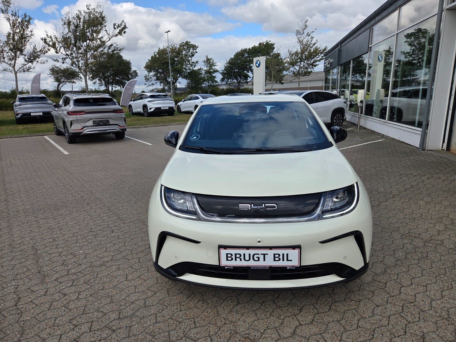 Beige BYD Dolphin fra 2024
