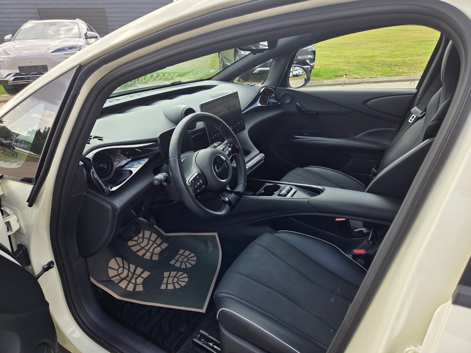 Beige BYD Dolphin fra 2024