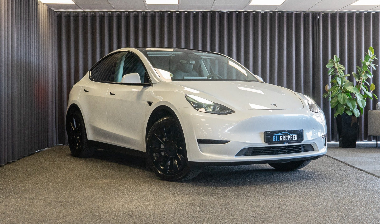 Tesla Model Y RWD