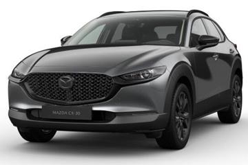 Mazda CX-30 2,5 e-Skyactiv-G Mild hybrid Homura Plus 140HK 5d 6g Aut.