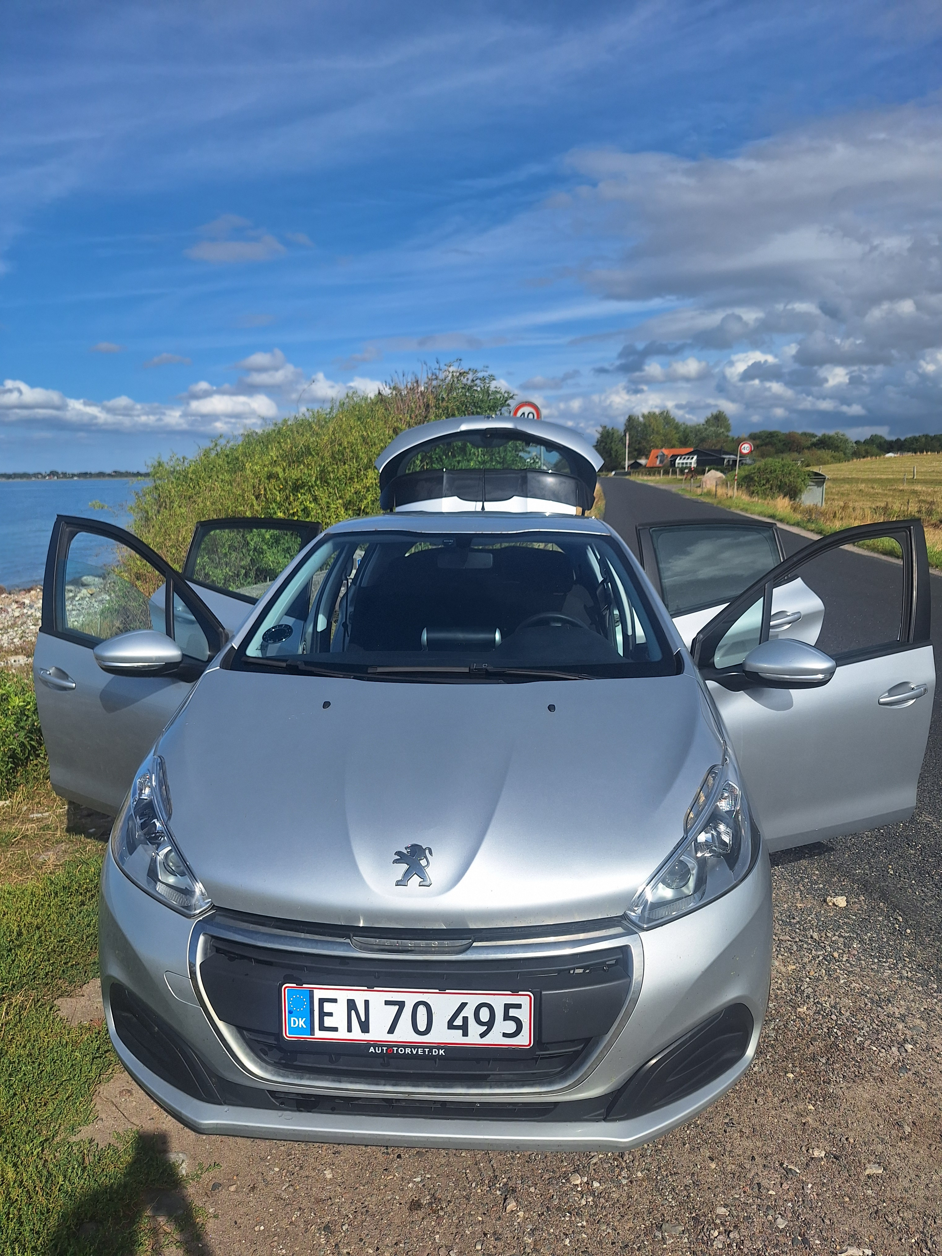 Grå Peugeot 208 fra 2016