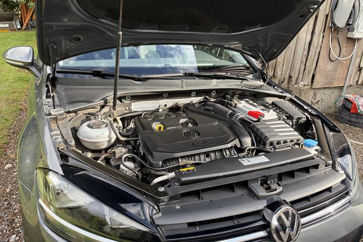 Beige VW Golf VII fra 2018