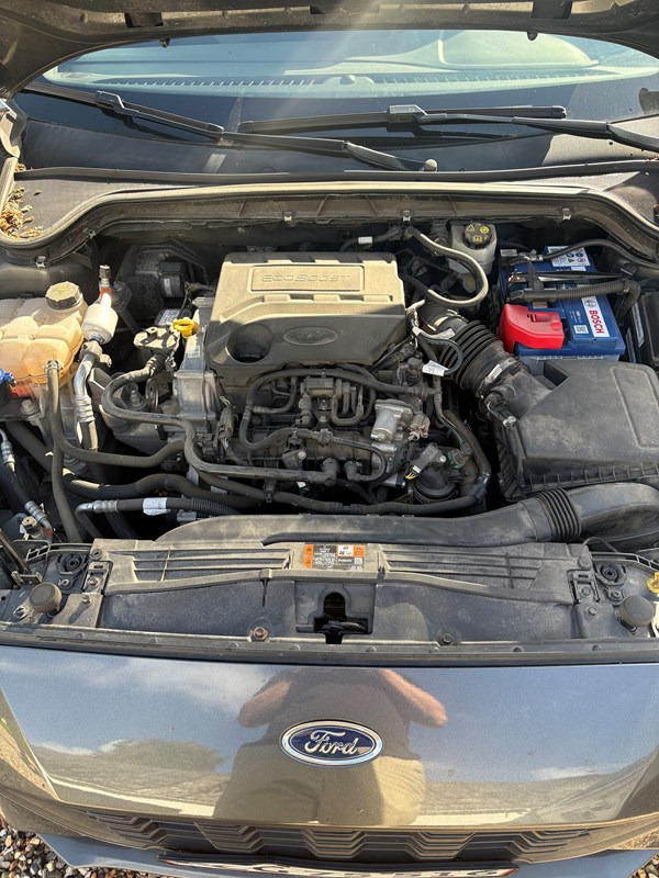 undefined Ford Focus fra 2018