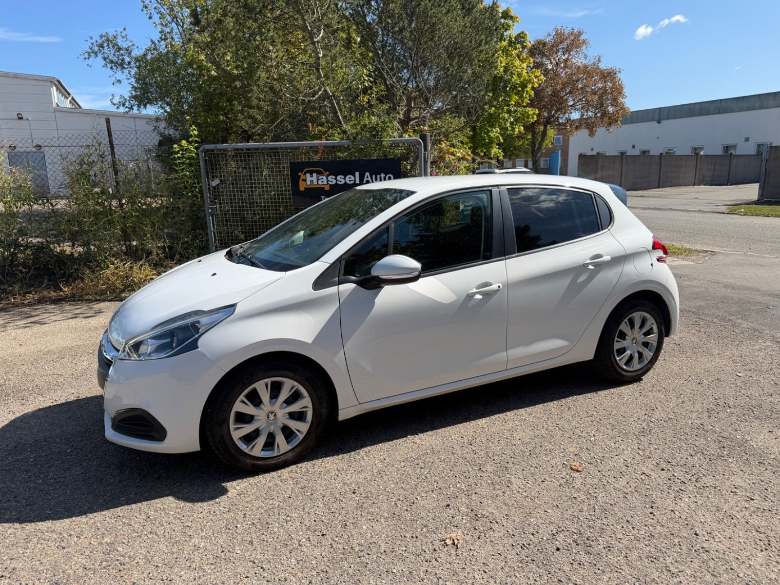 Grøn Peugeot 208 fra 2019