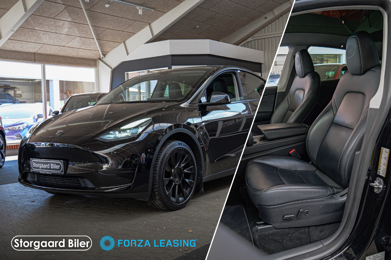 Tesla Model Y RWD